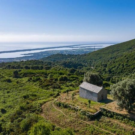Appartement Neuf Entre Mer Et Montagne. Фуріані Екстер'єр фото